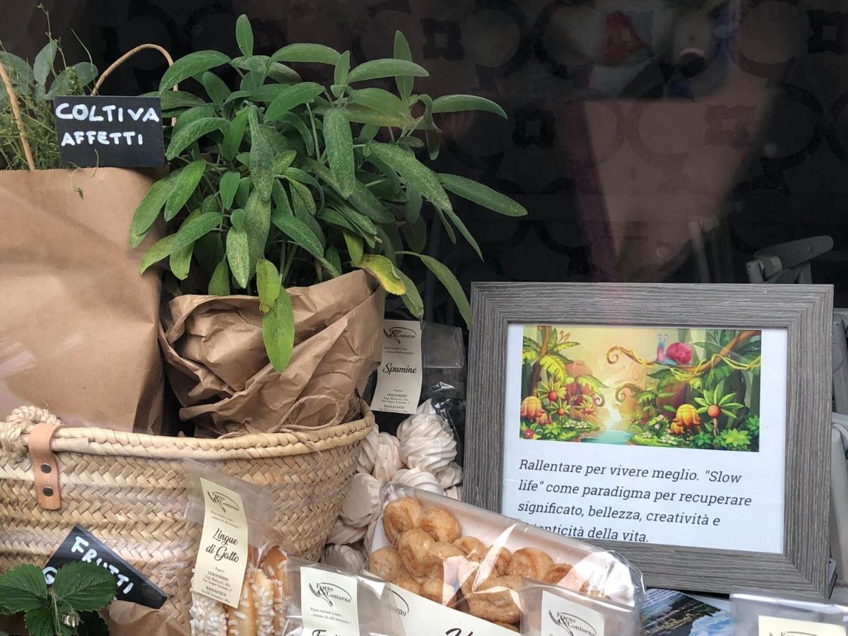 Appartamento Vivi Cernobbio, la sua arte, la sua magia Esterno foto